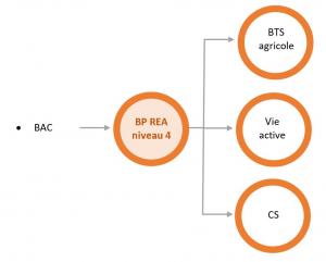 bp-rea-foad
